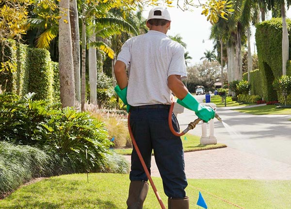 About Elizabethport NJ Pest Control Pros
